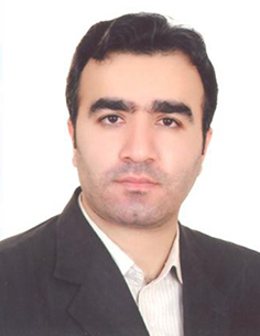 سید حامد معراجی