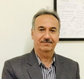 محمدرضا شمس الدینی