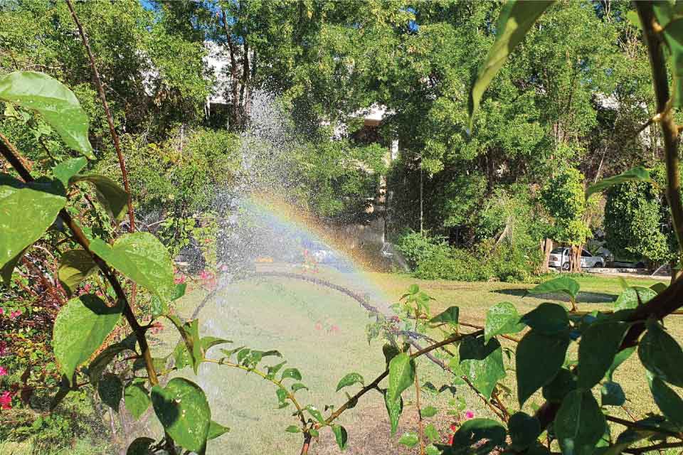 نرگس  دهقانی